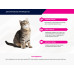 Eukanuba влажный корм для взрослых кошек с курицей в соусе 85г