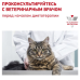 Роял Канин Сенситивити Контроль диетический корм для кошек Кусочки в соусе, пауч 85г